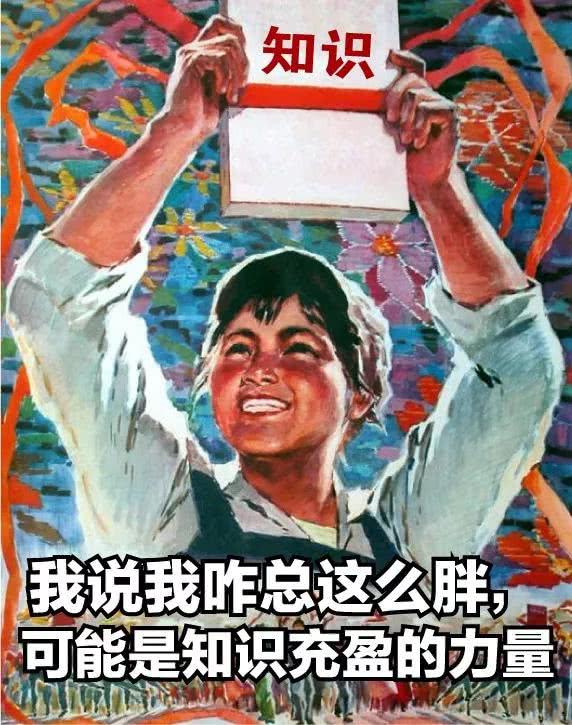 视频3